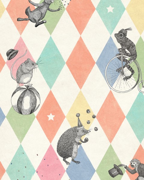 Circus Corner, Rainbow