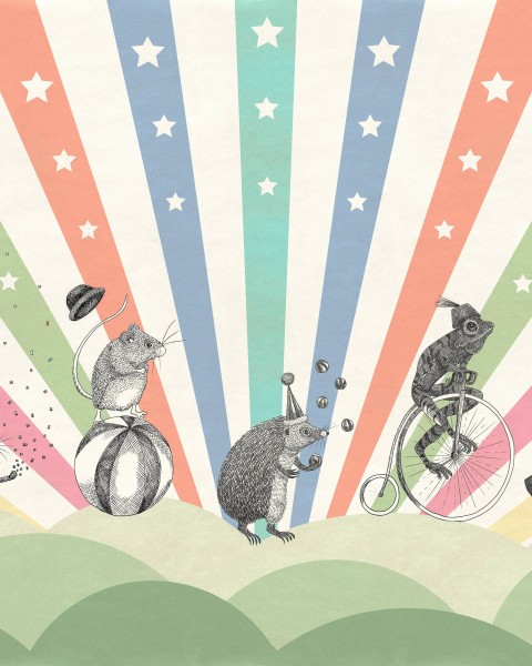 Circus, Rainbow