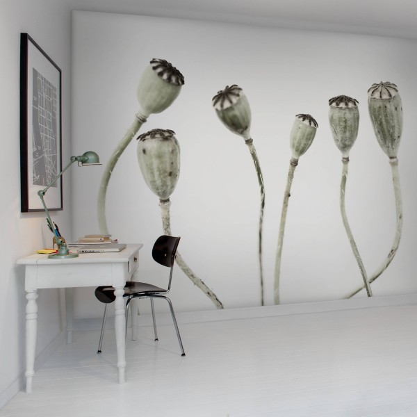 Simple Seedpod