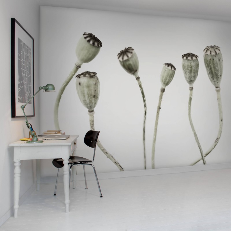 Simple Seedpod