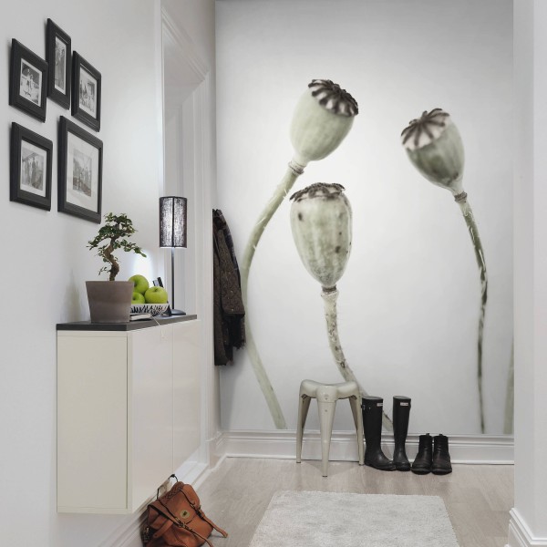 Simple Seedpod