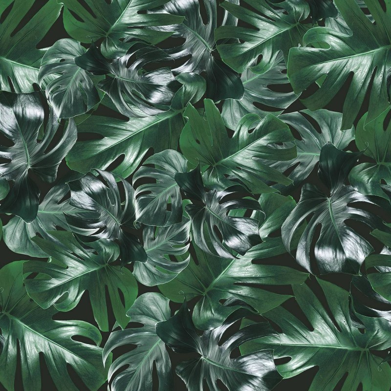 Welcome to the jungle, Authentic