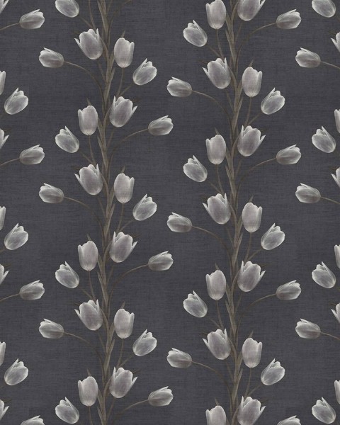 La Vie En Tulipe, Black