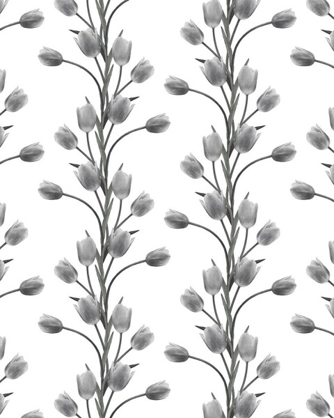 La Vie En Tulipe, White