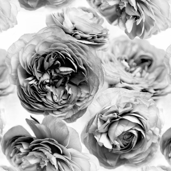 Summer wind, Black and White