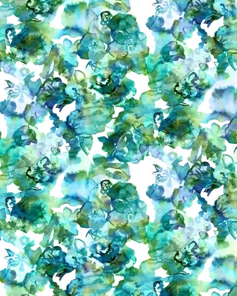 Lily Pond