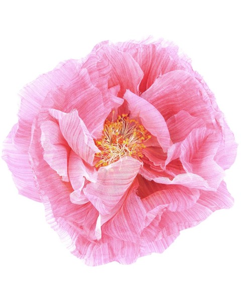 Poppy Art