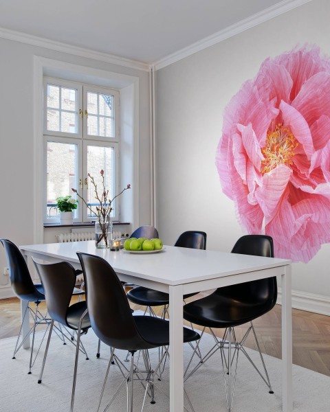Poppy Art