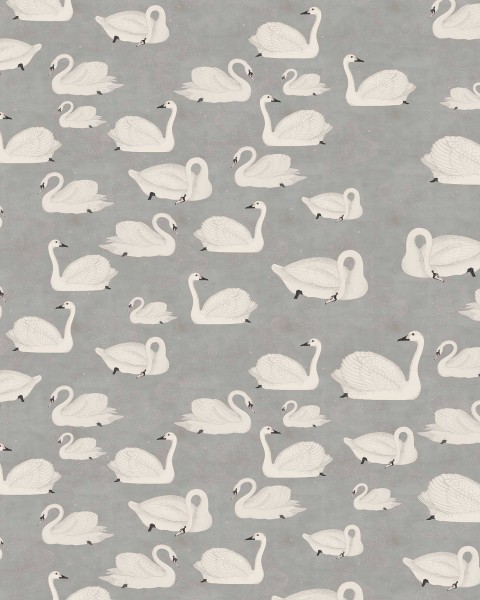 Cygne
