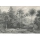Jungle Land, Vintage