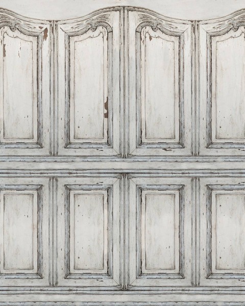 Parisian Panels