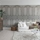 Parisian Panels
