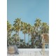 Riviera Daydream
