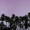 Riviera Daydream, Dusk