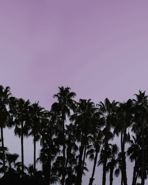 Riviera Daydream, Dusk