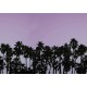 Riviera Daydream, Dusk