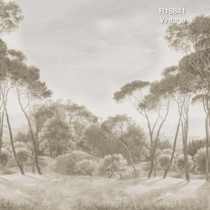 Pine Wood