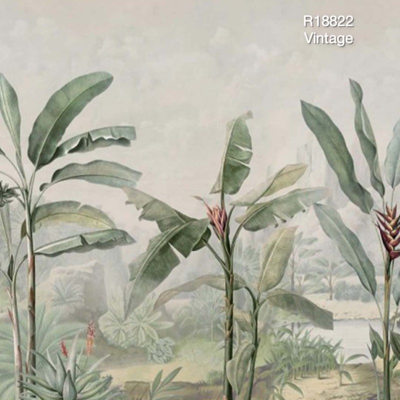 Tropical Palms