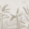 Tropical Palms