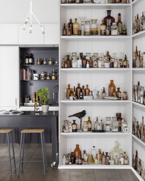 Cabinet of Curious