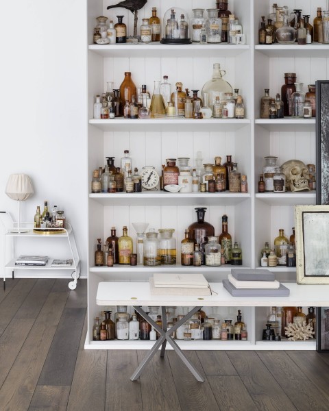 Cabinet of Curious