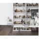 Cabinet of Curious