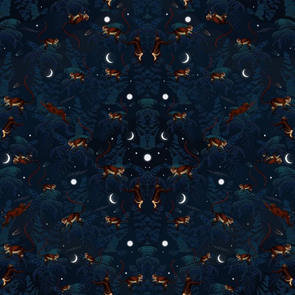 Space Monkeys