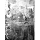 Charcoal