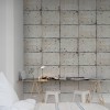 Tin Plates Ontaria