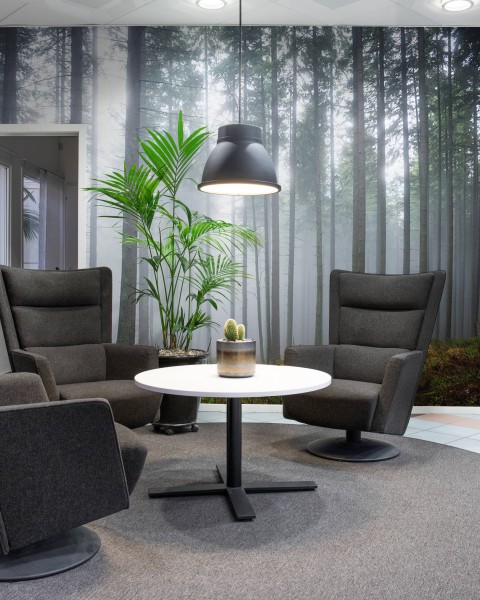 Forest Glade