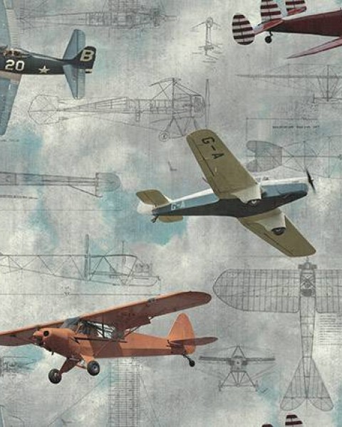Aero Show