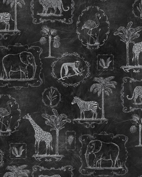 Animal Party, Blackboard