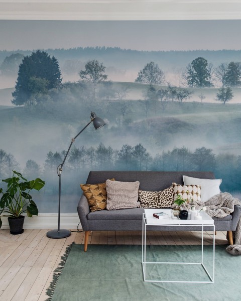 Morning Haze