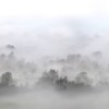 Morning Fog
