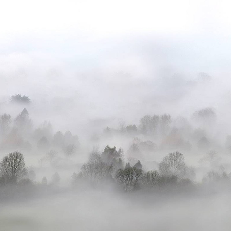Morning Fog