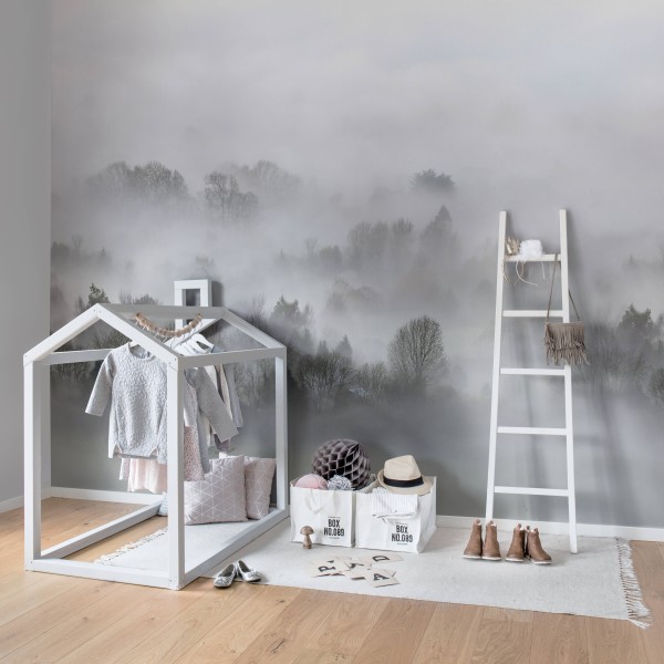 Morning Fog
