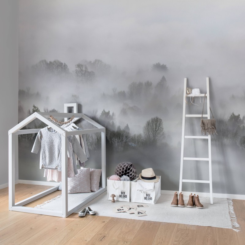 Morning Fog