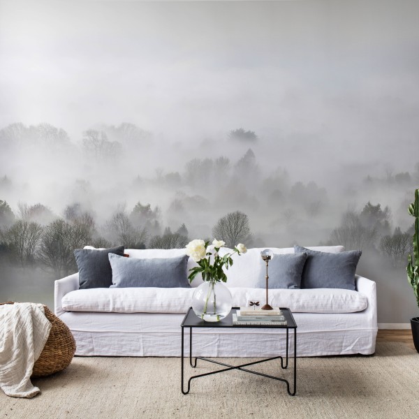 Morning Fog