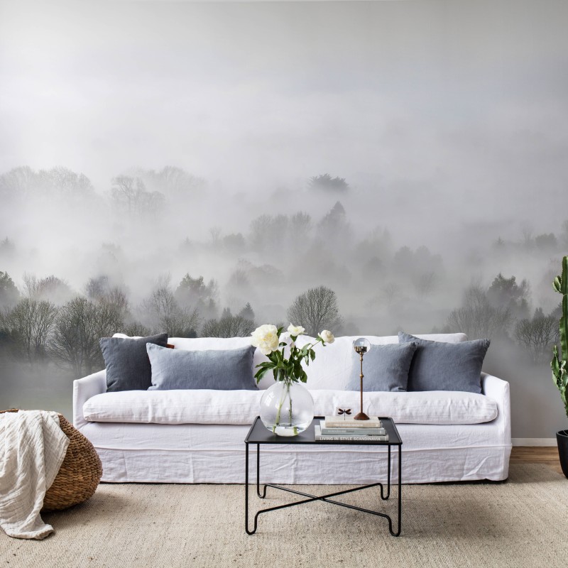 Morning Fog