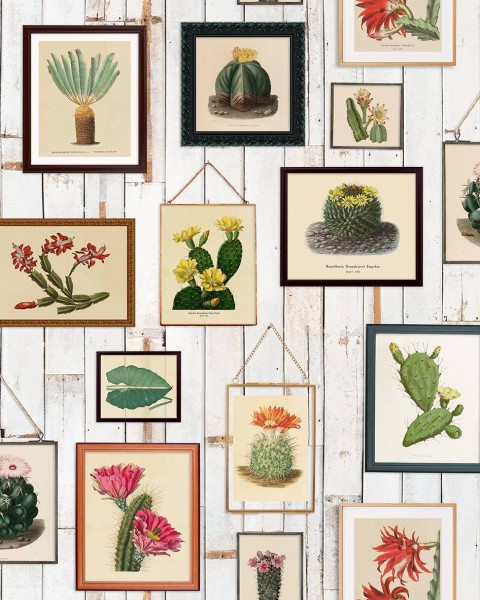 Cactus Wall Art