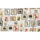 Cactus Wall Art