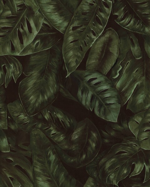 Amazon, Fern