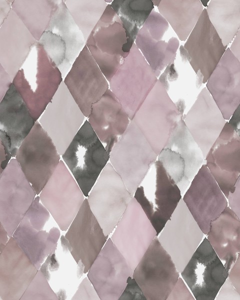 Big Harlequin, Plum