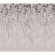 Lush Foliage, Rose Dust