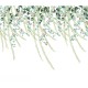 Lush Foliage