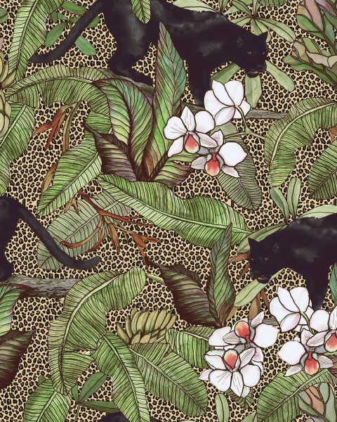 Alluring Panthers