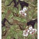 Alluring Panthers