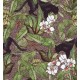 Alluring Panthers, Pink