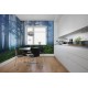 Blue Forest