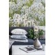 Dandelions